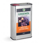 Greenol Промывка инжекторов для бензиновых двигателей Injection System Purge 1 литр